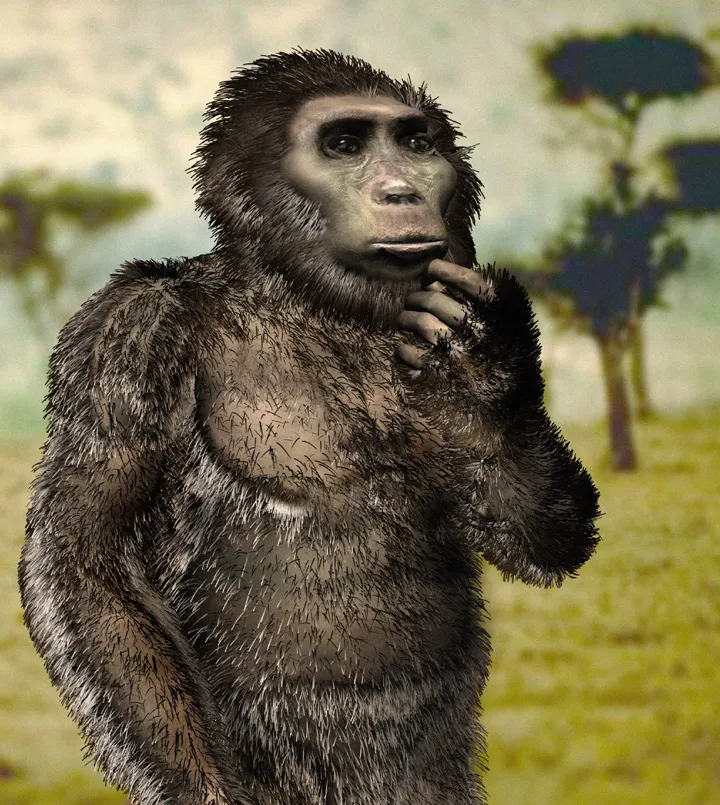 Reconstruction of Kenyanthropus platyops: a hairy, upright early human relative with a flat face, resting one hand against its chin, in open savanna